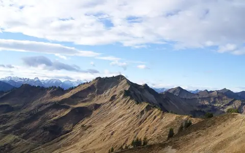 Löffelspitze