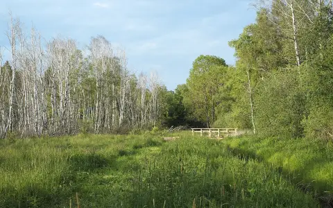 Pfrunger-Burgweiler Ried