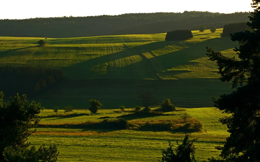 Bubsheimer Kirchberg und Umgebung