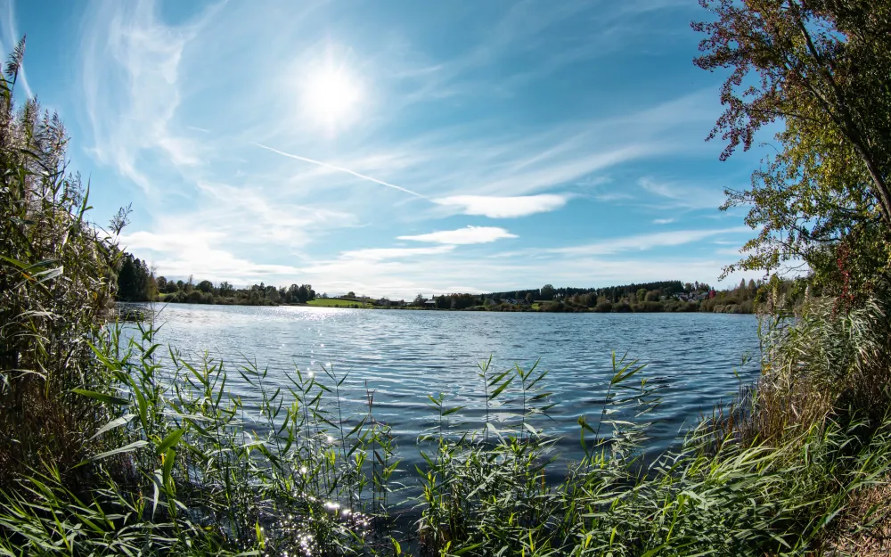 Schaupunkt Zellersee