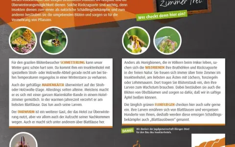 Insektenhotel im Naturschutzgebiet Mehlbaum