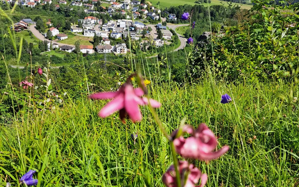Aussichtspunkt Altes Schloss