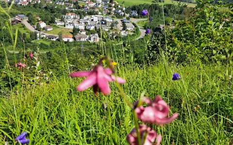 Aussichtspunkt Altes Schloss