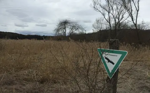 Fischerweihermoor
