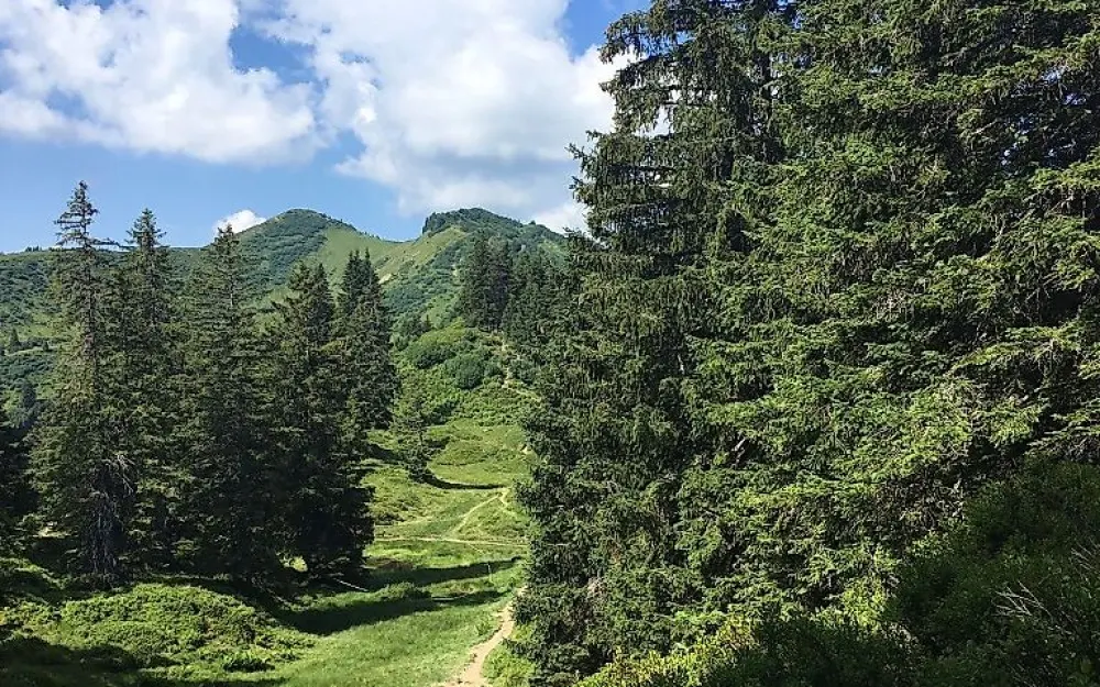 Blick zum Riedbergerhorn