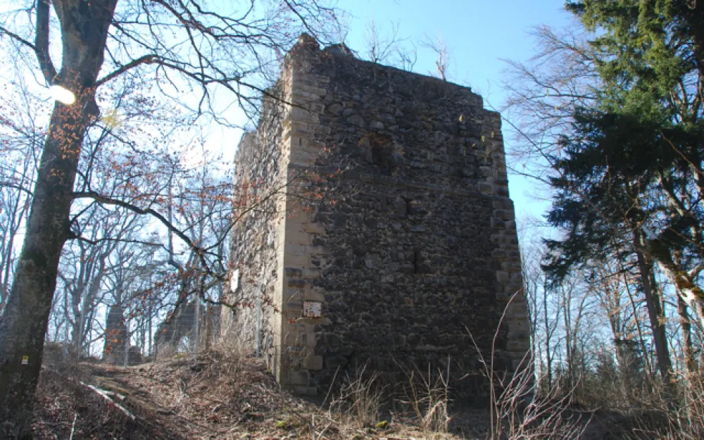 Burg Neuhewen