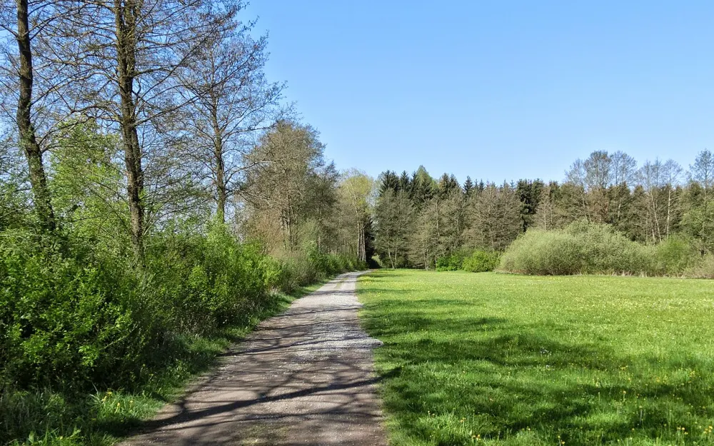 Enzkofer Ried