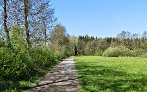 Enzkofer Ried