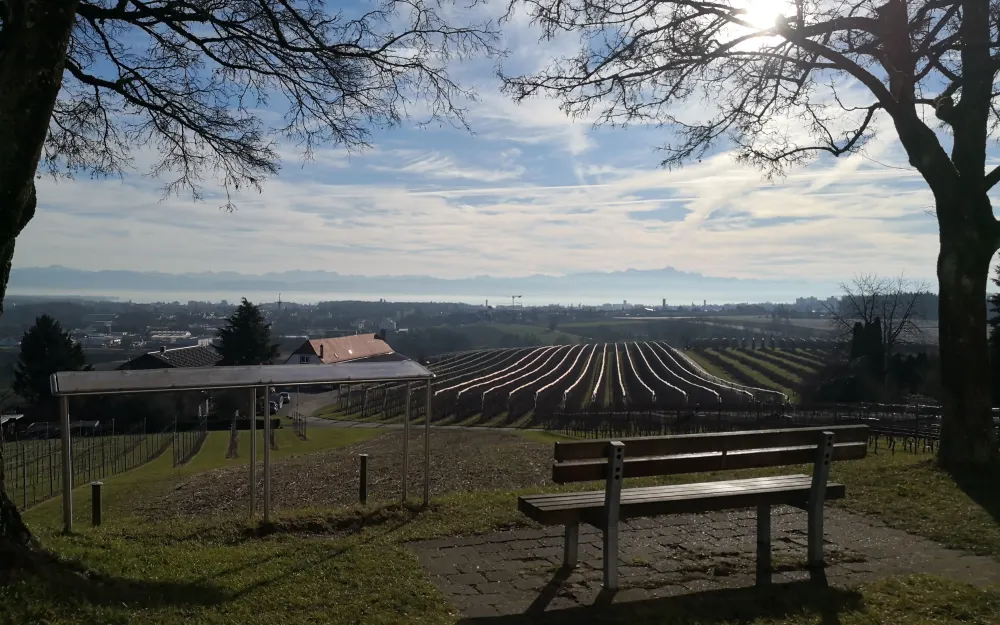 Aussicht von der Kirche St. Nikolaus