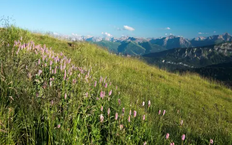 Bergblick auf dem Riedberger Horn