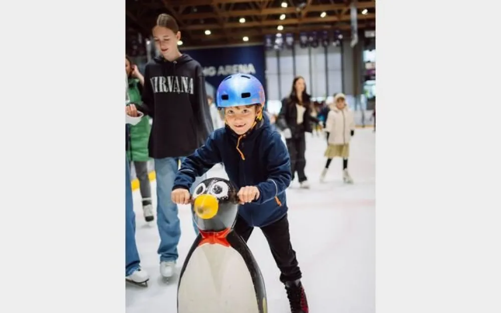 Eissporthalle (CHG Arena)