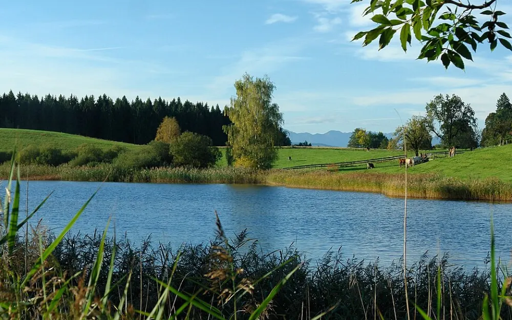 Obere Argen und Seitentäler