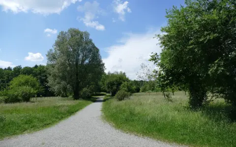 Kiesweg zum Rahlenwald