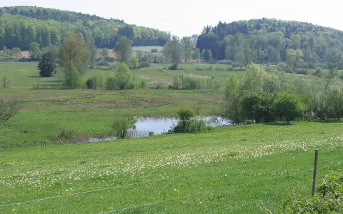 Bodenseehinterland zwischen Salem und Markdorf