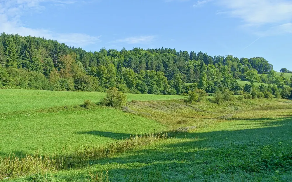 Braunhalden-Schlattboden