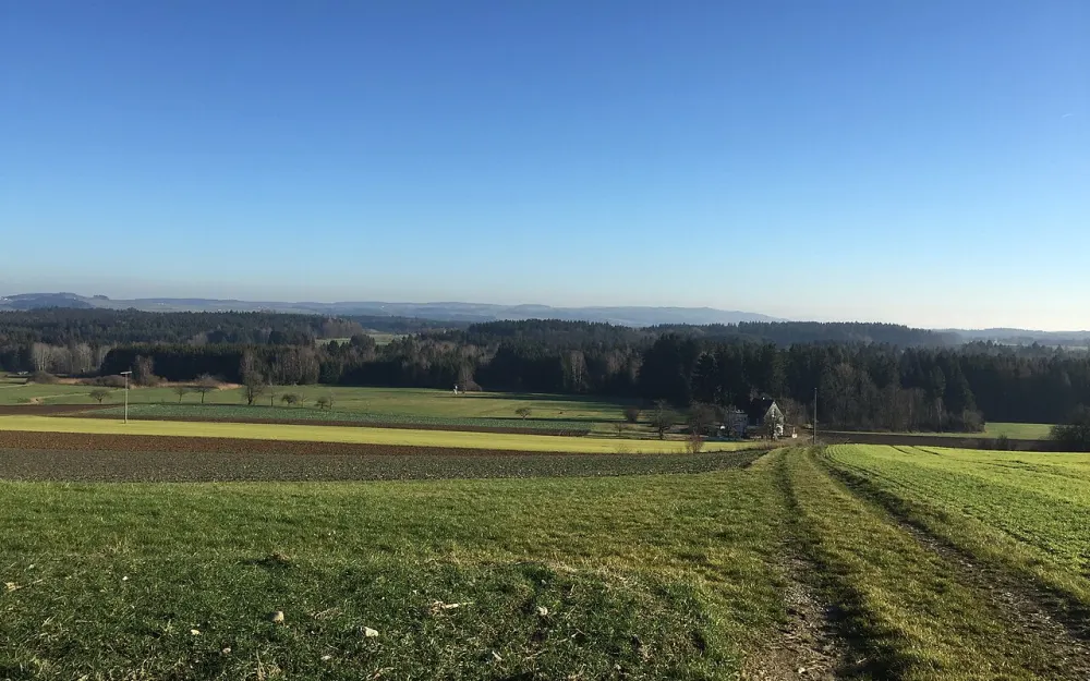 Ruhestetter Ried