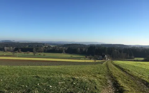 Ruhestetter Ried