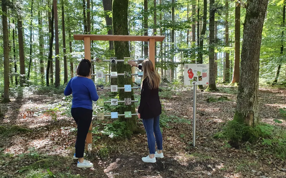 Naturlehrpfad Rottweil