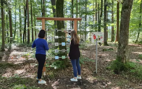 Naturlehrpfad Rottweil