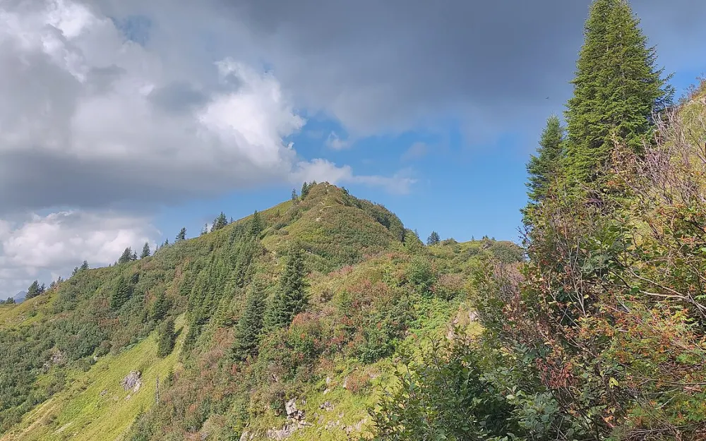 Lüchlekopf