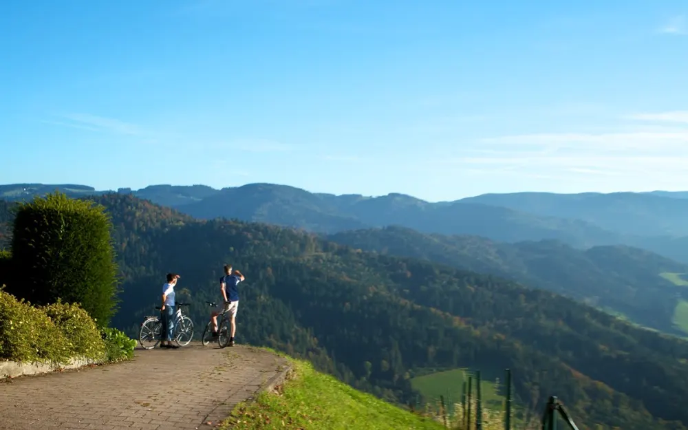Schwarzwald Panorama