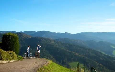 Schwarzwald Panorama