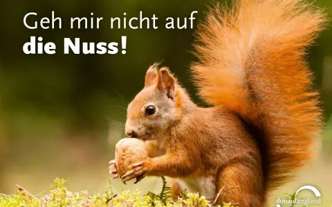 Nuss