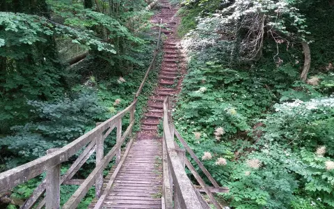 Steg über den Buttenmühlebach