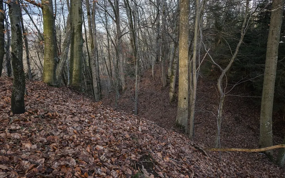 Burgstall Leonegg (Hattenweiler)
