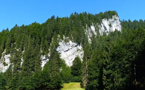 Felshang an der Lochbachstraße