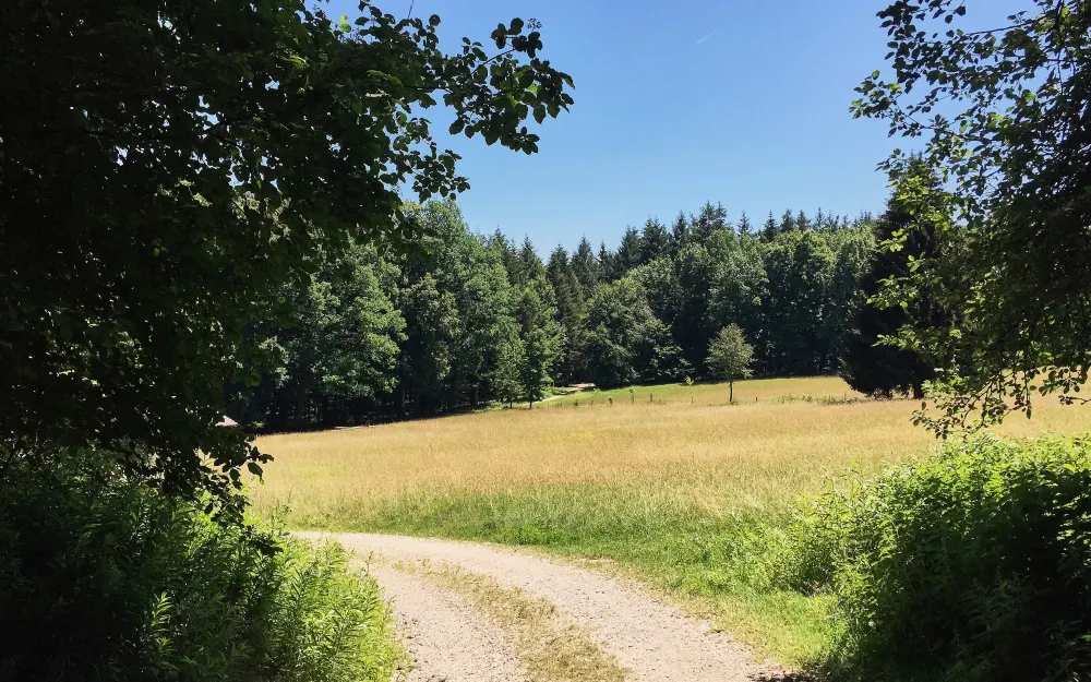 Bodanrück-Runde