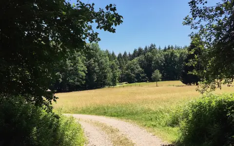 Bodanrück-Runde