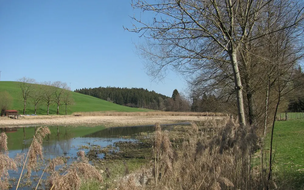 Ebersberger Weiher