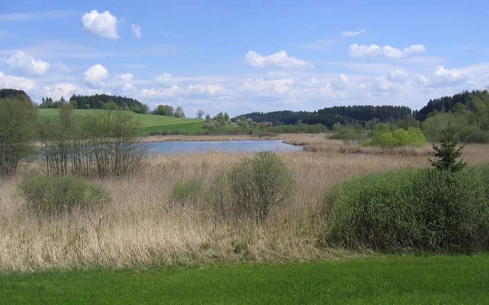 Kreuzweiher-Langensee