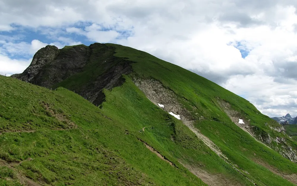 Großer Seekopf