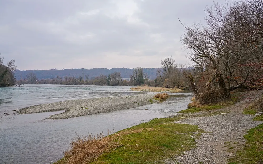 Hochrhein östl. Waldshut
