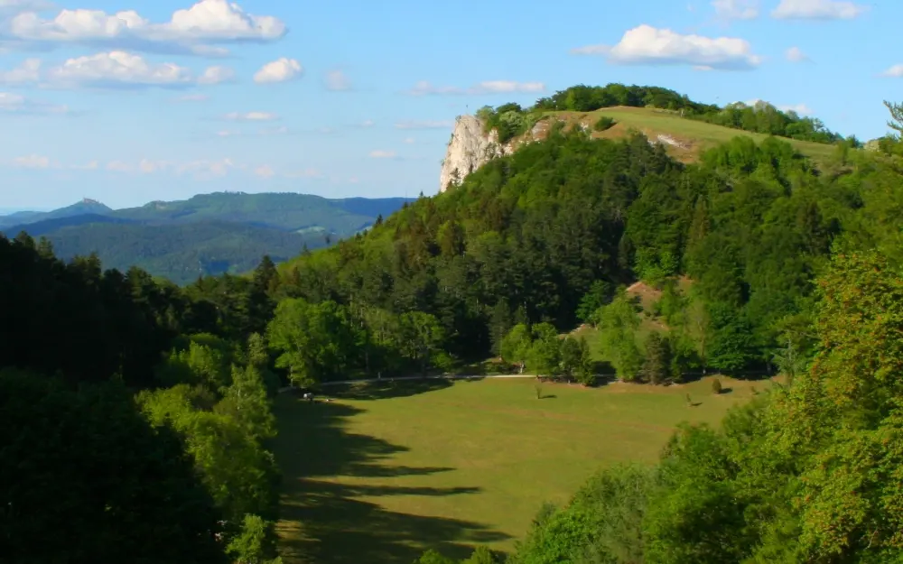 Naturschutzgebiet Schafberg-Lochenstein