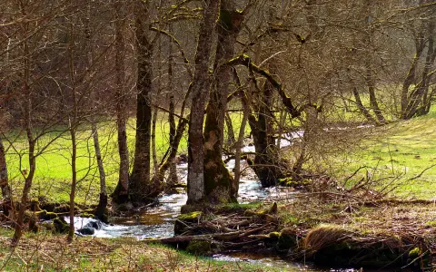 Donautal mit Bära- und Lippachtal