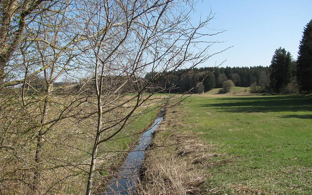 Auweiher