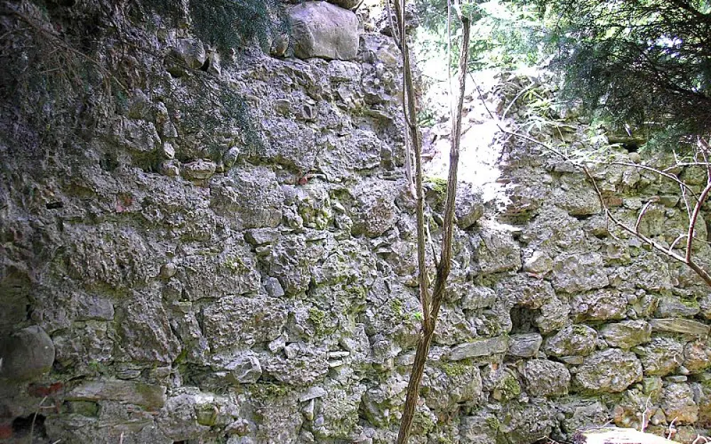Burg Rauhlaubenberg