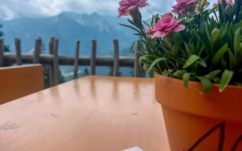 Hirsch-Alpe (1.493 m)