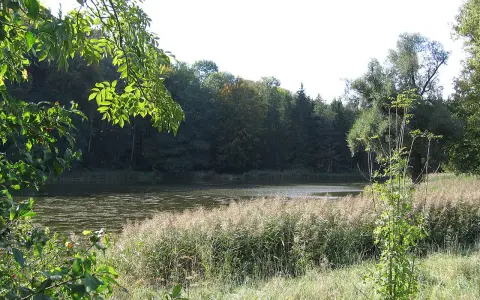 Salemer Klosterweiher