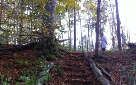 Ehemalige Rinkenburg
