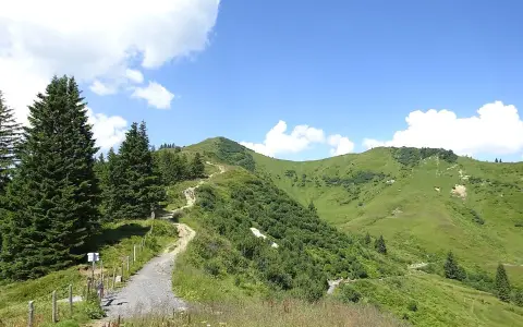 Wanderweg zum Riedbergerhorn