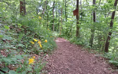 Waldweg HexenkücheAlbstadt Tourismus MA Ulrike Wieland