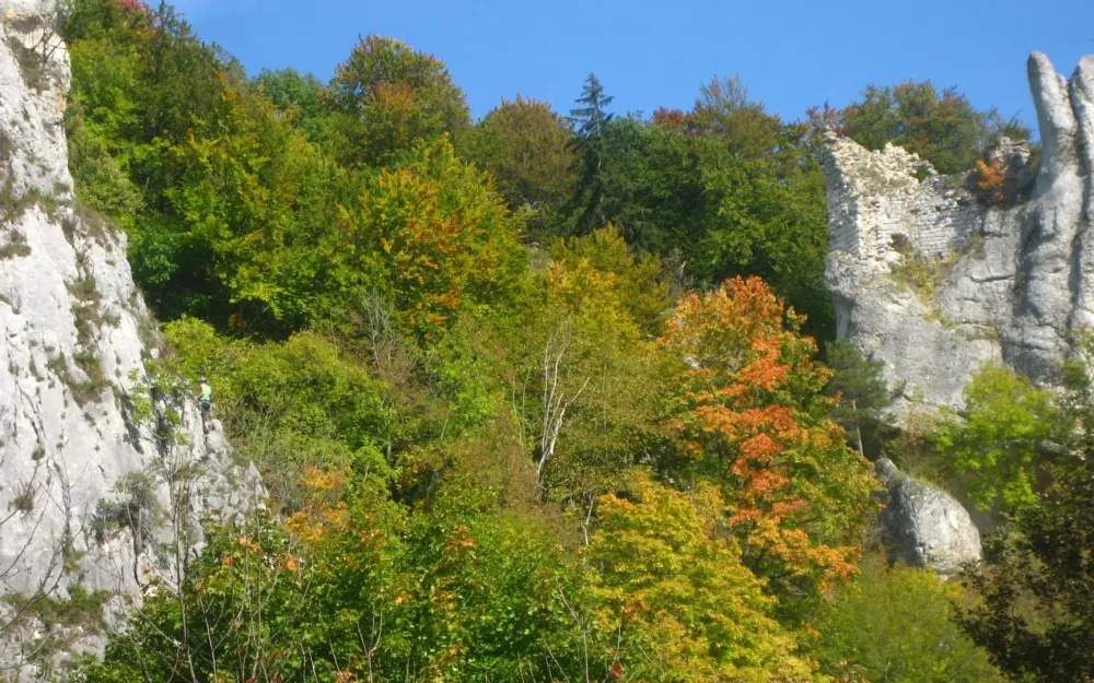 Ruine Gebrochen Gutenstein