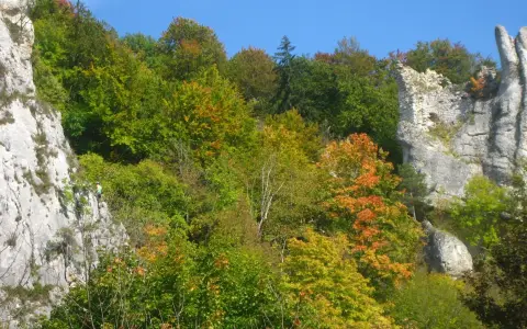 Ruine Gebrochen Gutenstein