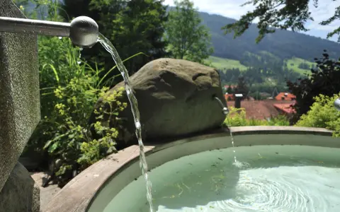 Kapellengarten