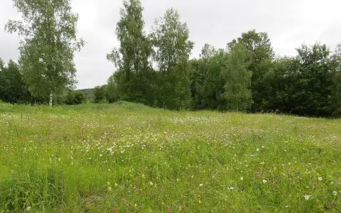 Egelsee-Ried