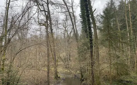 Spatzenwinkel